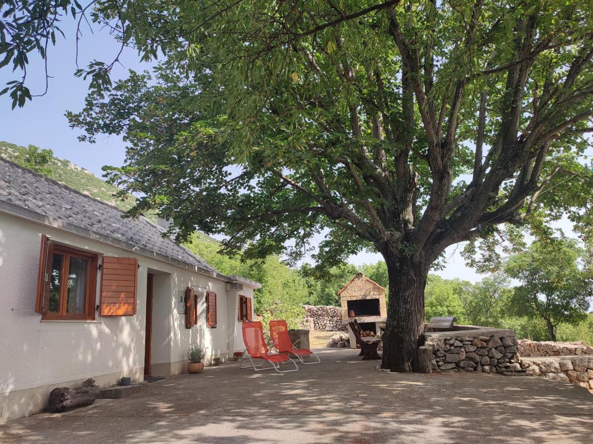 Holiday home Lucija Jablanac