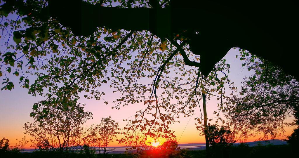 Holiday home Lucija *